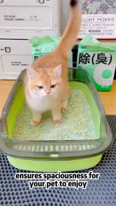 Cat Litter Box With Scoop Anti Spill Splash Proof Leak Free Cat Toilet High Sides Easy Cleaning