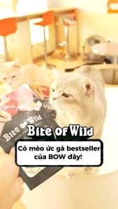 Thịt Sấy Cỏ Mèo Bite Of Wild Dành Cho Mèo - T3 PETS SHOP
