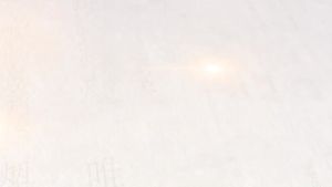 Barley Leaf Green Juice   Genuine Goods Trendy Drink Meal Replacement Barley Wheat Juice Farm Wheat Grass Powder   Wholesale Delivery