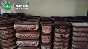 Pot Bonsai Keramik Mame Shito Mini Kecil