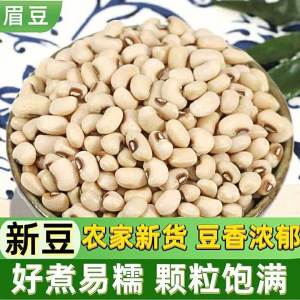 Soup Making Dried Beans