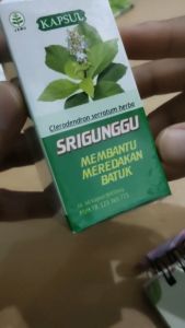 Srigunggu: Obat Asma Herbal & Penghilang Lendir