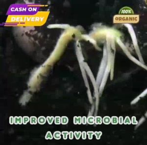 FulvicPlus Organic Soil Conditioner – Plant Growth Stimulant & Fertilizer Enhancer