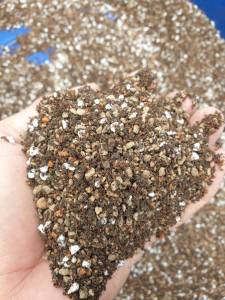 ดินปลูกแคคตัส ดินผสมพร้อมปลูก ดินปลูกกระบองเพชร ดินปลูกไม้อวบน้ำ #Soil #cactus #ไม้อวบน้ำ #organic