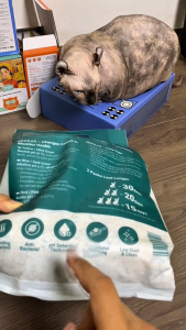 Cát Mix PerformX Advanced JOYCAT (Túi 2.5kg / 6L) - Cát Vệ Sinh Cho Mèo Thế Hệ Mới Theo Dõi Sức Khỏe Ultimate Health IQ