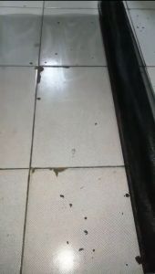 Kawat Parabola Baja Black Pintu Jendela: Pengertian & Cara Menggunakannya