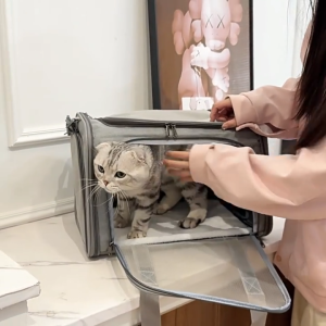 [SG Ready Stock] Dog Cat Carrier Soft Side Backpack Airline Approved Transport For Small Pet carrier