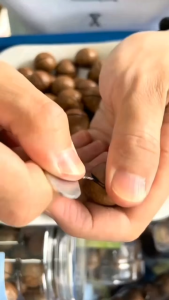 1000g Macadamia Nuts Cream Flavor Bulk New Year Snacks Holiday Gift Box