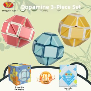 YJ | Educational Transforming Flexistick 24 Segments