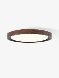Minimalist Japandi Style Ceiling Light Full Spectrum Eye Protection