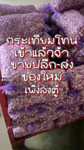 กระเทียมโทน เบอร์ใหญ่ 500g/1kg