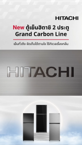 Hitachi ฮิตาชิ ตู้เย็น 2 ประตู 240 ลิตร Carbon Line รุ่น HRTN5255MFBBKTH