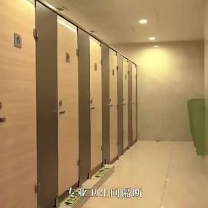 MOLORE | Waterproof Bathroom Partition Board PVC Aluminum Honeycomb