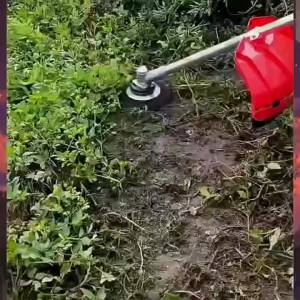 1Pc 10 Inch Steel Wire Wheel Universal Garden Weeding Brush Removal Rust Weed Brush Cutter Head Lawn Mower Brush Cutter Tools