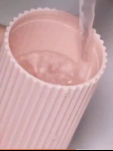 Travel Toothbrush Travel Container Cup