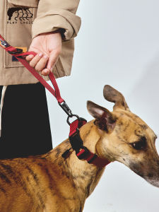 Quick-Release Magnetic Buckle Dog Collar for Large And Small Breeds PLAYLOGIC Fidlock Pet Supplies Dog Leash And Accessories