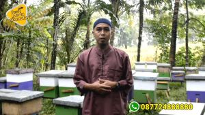 MADU MURNI MULTIFLORA AL HALIF 270g/ 100%  MURNI TANPA CAMPURAN/ JAMINAN UANG KEMBALI JIKA TERBUKTI PALSU