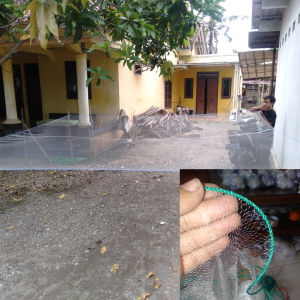 anco senar size 015 ukuran 25x25 m lubang 1/2 inci
