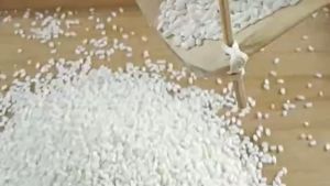 Jiaxing Zongzi 170g*4 Meat Dumplings Egg Yolk Fresh Meat Zongdou Sand Honey Jujube Zongzi Sweet Dumplings Breakfast Wholesale Dragon Boat Festival Specialty嘉兴粽子170g*4肉粽蛋黄鲜肉粽豆沙蜜枣粽子甜粽早餐批发端午节特产