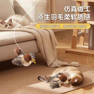 Pet Teaser Bird Cat Toy Sound Making Small Canary Biting Resistant Self Entertaining Teeth Grinding Cat Teaser Supplies