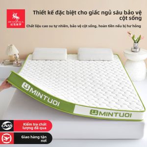 JIFANPAUL | Đệm Bọt Nhựa Latex Chống Trượt 9cm