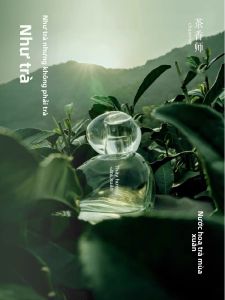 Chasense | Spring Dragon Well Tea Bamboo Valley Lily Rose Morning Mist Fragrance