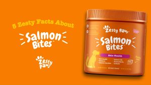 Zesty Paws Skin & Coat Bites + Salmon Oil for Dogs Skin Health - Salmon Flavor (90 Soft Chews) (EXP:11 2026)