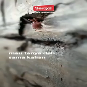 Seroxil Obat Pembasmi Anti Semut Kecoa / Racun Semut Kecoa Ampuh 450ml & Aerosol