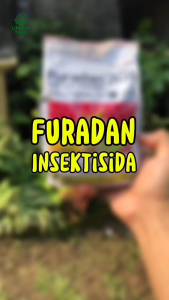 INSEKTISIDA FURADAN 3GR Nematisida Sistemik Pengendali Hama Serangga Kemasan Pabrik 1 KG 2KG