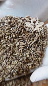 Anise Organik Grade A: Pilihan Terbaik untuk Anda