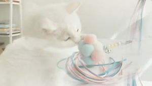 Cat Toy / CAT TEASER PLAY STICK / BELL / DANGLING FEATHER ROD / 40CM
