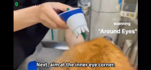 Thermometer for Pets Dog/Cat Digital Oral/Rectal/Surface Scanning Temperature Detection with Silicone Cover