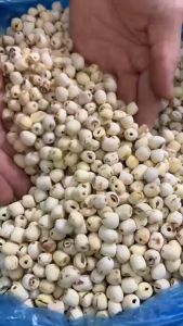 Hạt sen khô (gói 250g) hàng loại 1 thơm ngon bổ dưỡng gà hầm hạt sen nấu chè đau đầu mất ngủ thiếu máu