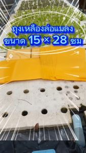 ถุงเหลืองล่อแมลง 100 ใบ