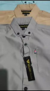 Harga Promo Kemeja Polos Pria Lengan Panjang Warna Sage Green Baju Warna Lengkap Terbaru 2023 Spesial