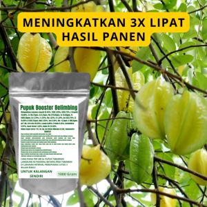 Pupuk Booster Belimbing Pelebat Organik Cepat Berbuah Lebat Besar Anti Rontok Pembesar Belimbing