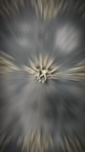 Kẹp Cơ Nhựa Hàng Nhập Khẩu Chất Lượng Cao  Kẹp Cơ