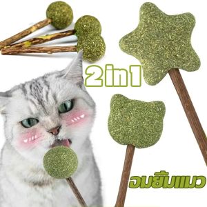 [Witte] อมยิ้มแมว แคทนิปบอล รวมที่สุดของโปรดน้องแมว ขัดฟันแมว กัญชาแมวเลีย สมุนไพร 2 in 1