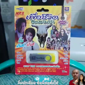 เพื่อชีวิต ฮิตสามช่า ดิ้น มันส์...มันส์ มูฟวี่ Street MS-USB 1053 เพลงUSB MP3 120 เพลง แฟลชไดร์ฟเพลง USBเพลง