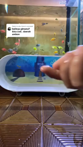 Aquarium Akuarium Akrilik jumbo Ukuran 35x15x15 lengkap dengan pompa Lampu dan Filter tinggal pakai