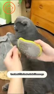 ฟรี เอสเซนส์✅ 3 In 1 แปรงไอน้ํา ทําความสะอาดตัวเอง สําหรับนวดขนสัตว์เลี้ยง สุนัข แมว