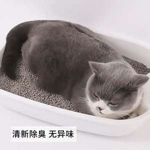 1 KG-REPACK-BENTONITE-PASIR KUCING GUMPAL WANGI(GUMPALWANGIKEBUTUHAN KUCING wangi--