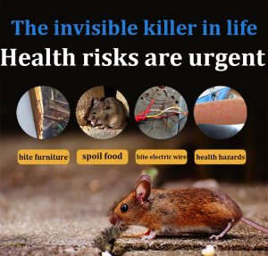 No rats within 1000 meters🐭Rat poison killer 500g Racun tikus paling kuat老鼠药Ubat tikus paling kuat mati Rat bait Rat repellent Racun tikus paling berkesan