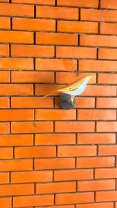 COD Lampu kamar tidur Dinding Hias Indoor Bentuk Burung minimalis unik Wall Light 4000K 10W - WL-222