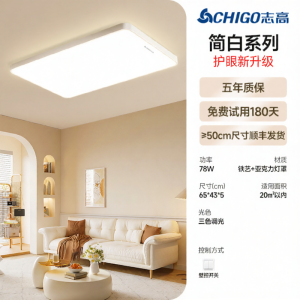 Chigo | Installation Included Whole House Modern Minimalist LED Ceiling Light
