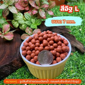 เม็ดดินเผามวลหนัก หินตกแต่งตู้ปลา/กระถาง พรีเมี่ยม สำหรับพืชและสัตว์น้ำ