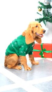 Merry Christmas (สําหรับน้องหมาน้องเเมว)