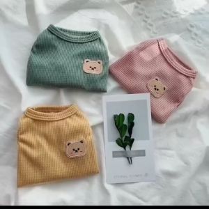 baju anjing dan baju kucing kaos hewan anabul model kaos santai emblem teddy