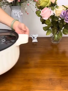 Nồi lẩu điện 2 ngăn Sacon đa năng 2 vùng điều khiển độc lập 5L