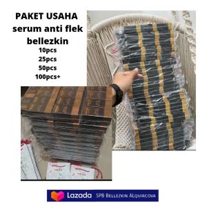 PAKET USAHA grosir serum anti flek